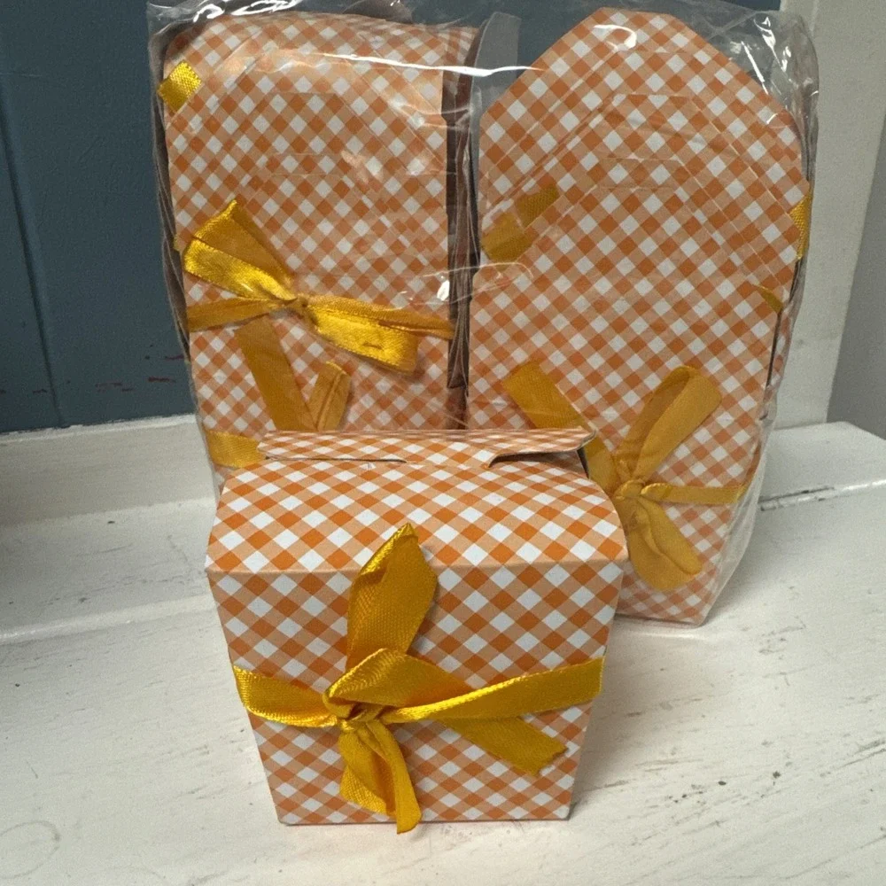 12 Mini Take‎ Out Boxes Gingham Orange White Check W/ Handle Goody Party Favor